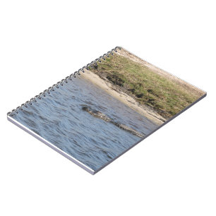 American Alligator Swimming in a Marsh Spiral Notebook