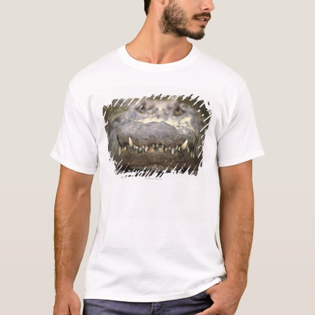American Alligator T-Shirt (Front)