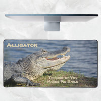 American Alligator Wildlife Photographic Closeup