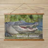 American Alligator Wildlife Photographic
