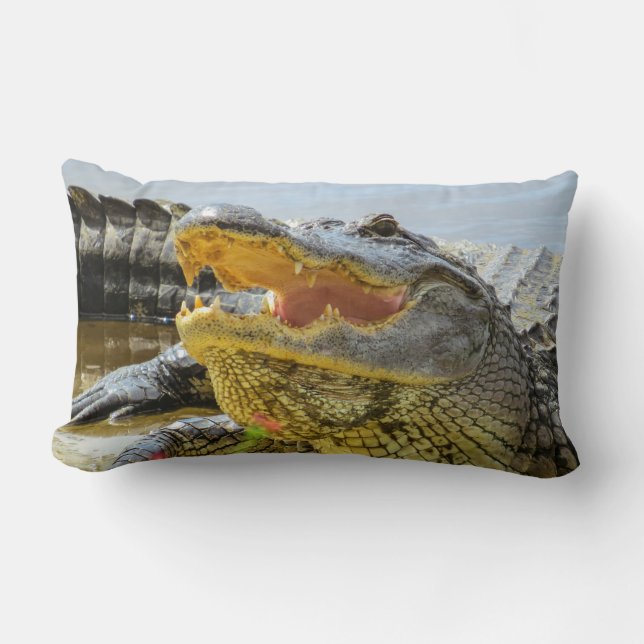 American Alligators  Face to face Lumbar Cushion (Front)