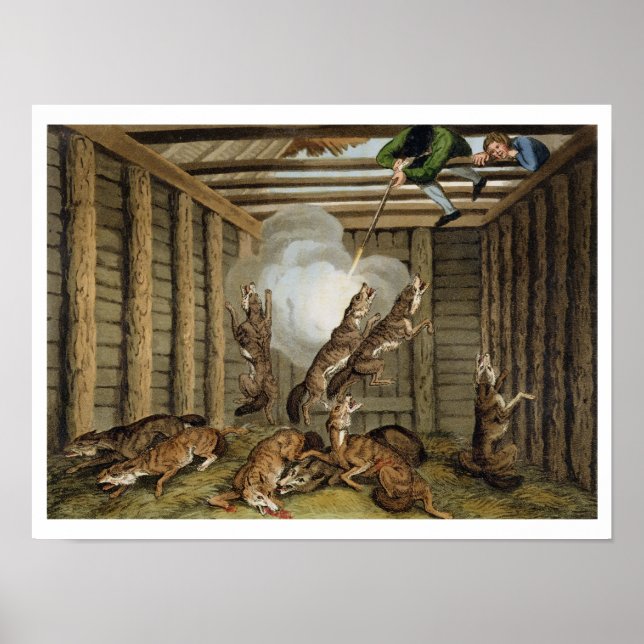 American Anecdote: Shooting the Wolves, engraved b Poster (Front)