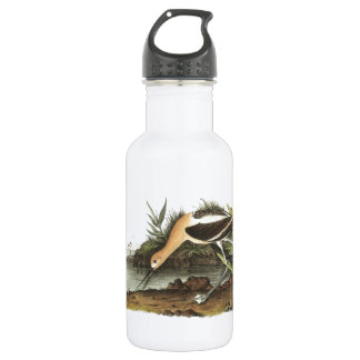 American Avocet by Audubon 532 Ml Water Bottle