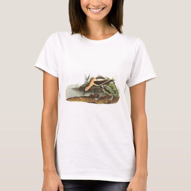 American Avocet by Audubon T-Shirt (Front)