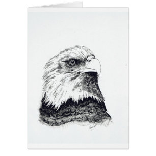American Bald Eagle