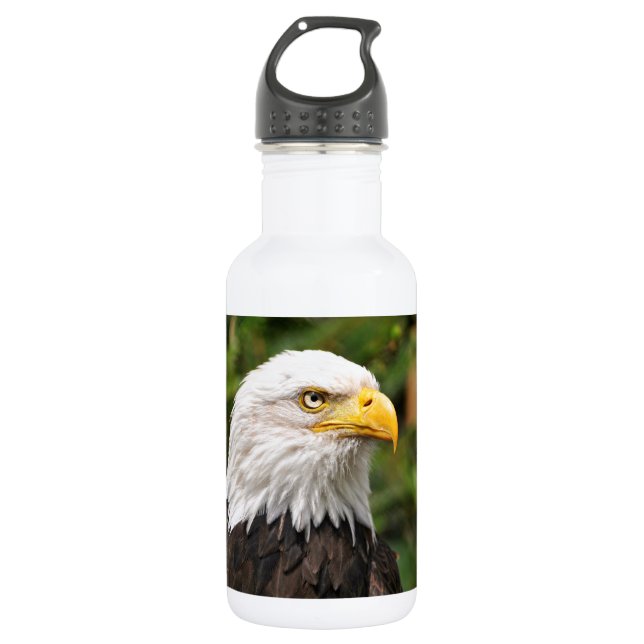 American Bald Eagle 532 Ml Water Bottle (Front)