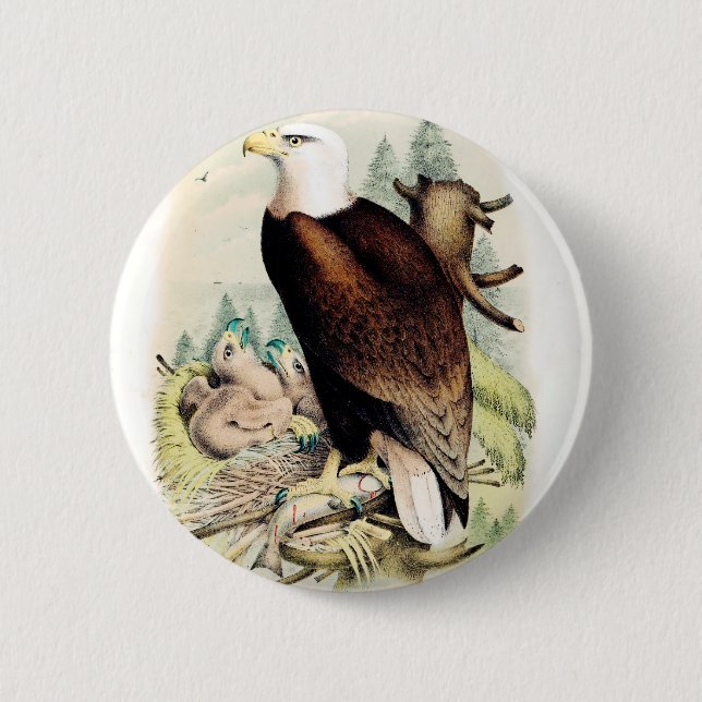 American Bald Eagle 6 Cm Round Badge (Front)