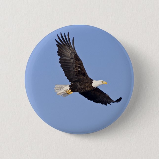 American Bald Eagle 6 Cm Round Badge (Front)