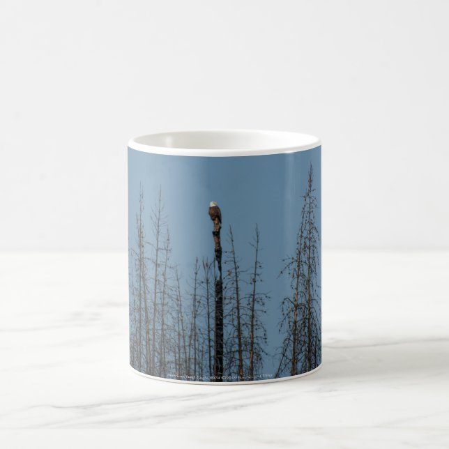 American Bald Eagle 8974 Coffee Mug (Center)