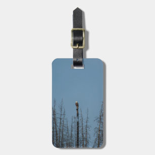 American Bald Eagle 8974 Luggage Tag
