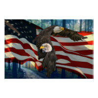 American Bald Eagle American Flag