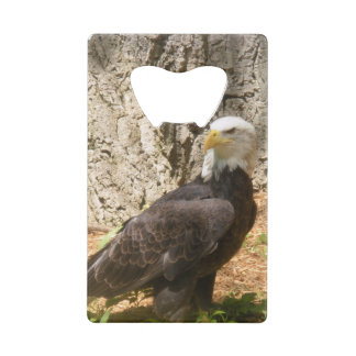 American Bald Eagle Bottle Opener