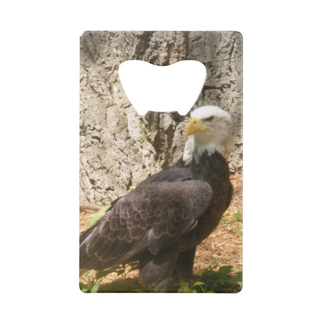 American Bald Eagle Bottle Opener (Back)