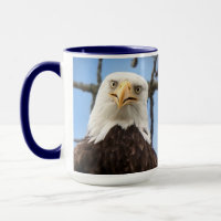 American Bald Eagle Face Wildlife Funny Blue