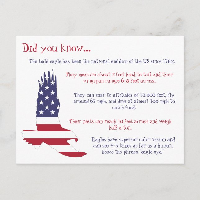 American Bald Eagle Facts Postcard (Front)