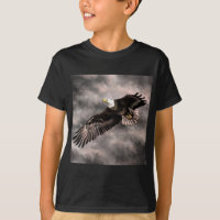 American Bald Eagle Flying in Storm Clouds 