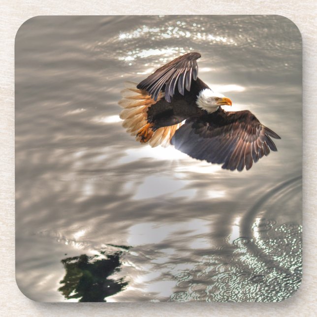 American Bald Eagle Flying Over Ocean Coaster (Front)
