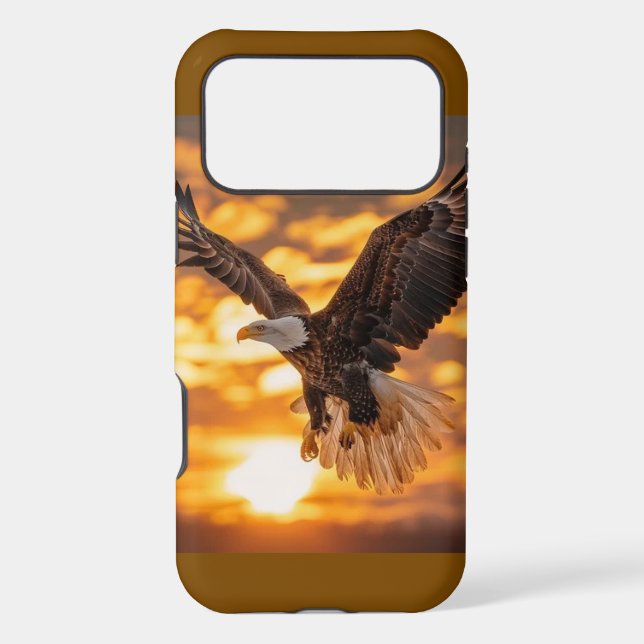 American Bald Eagle In Flight Sunset Clouds Photo (Back)