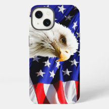 American Bald Eagle
