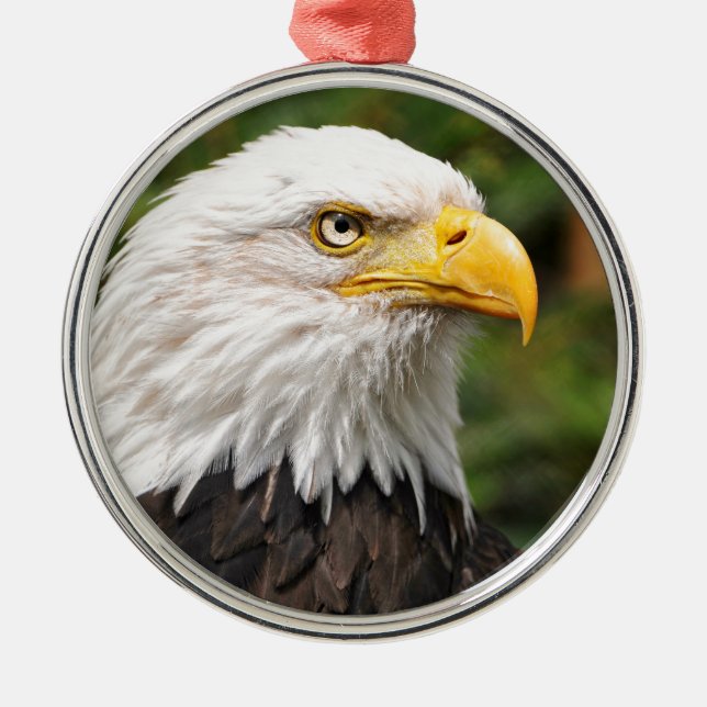 American Bald Eagle Metal Tree Decoration (Front)