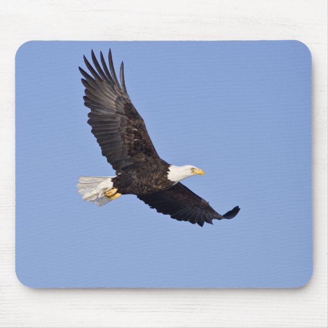 American Bald Eagle Mouse Pad (Front)
