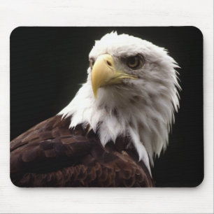 American Bald Eagle Mouse Pad