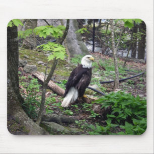 American Bald Eagle Mouse Pad