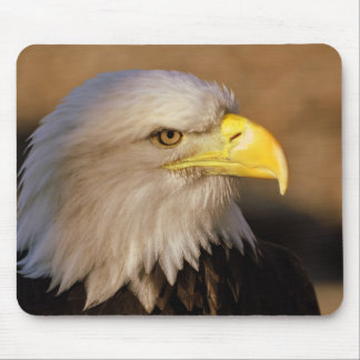 American Bald Eagle Mouse Pad