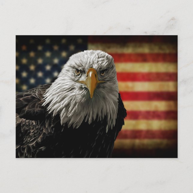 American Bald Eagle on Grunge Flag Postcard (Front)