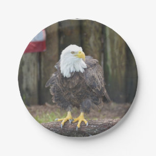 American Bald Eagle Perched on a Log Paper Plate
