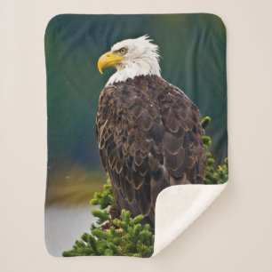 American Bald Eagle Perched Sherpa Blanket