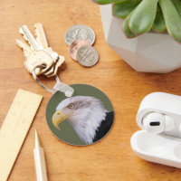 American Bald Eagle Photo