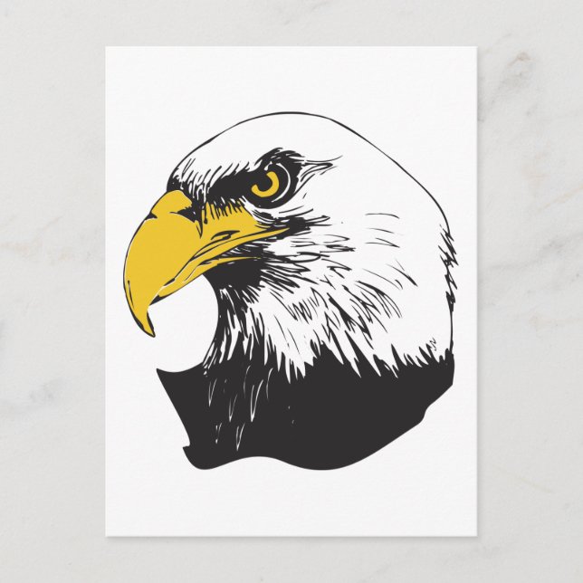 American Bald Eagle Postcard (Front)
