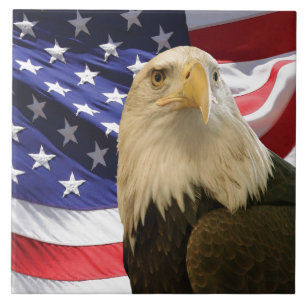 American Bald Eagle USA Flag Patriotic Decor Tile