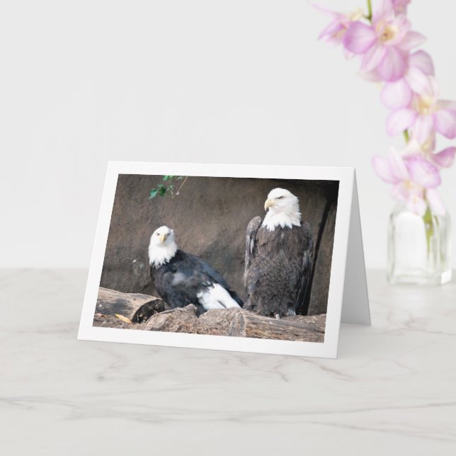 American Bald Eagles Portrait Card (Orchid)