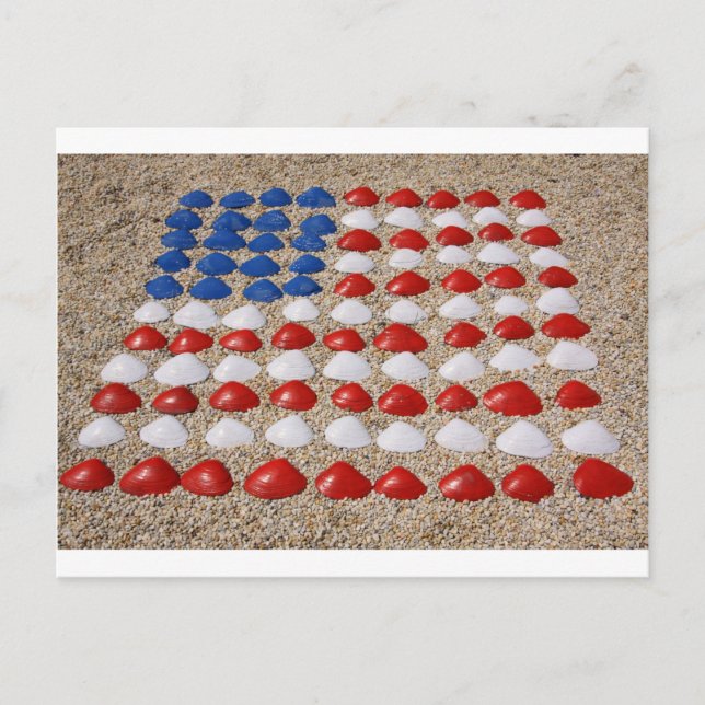 American Beach SeaShells Postcard (Front)