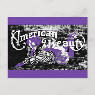 american beauty postcard