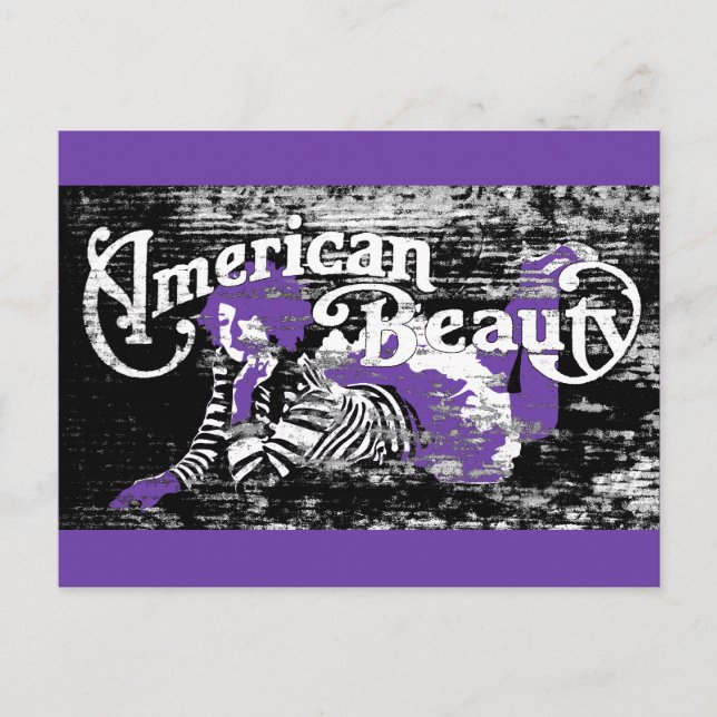 american beauty postcard (Front)