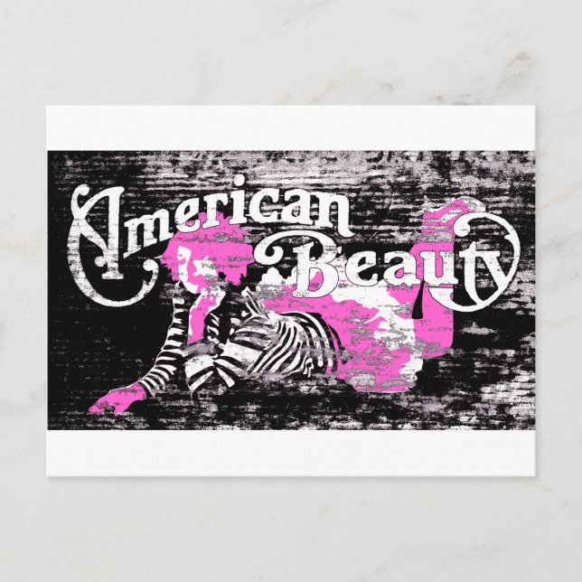 american beauty postcard (Front)