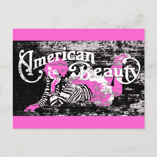 american beauty postcard (Front)