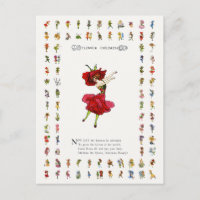 American Beauty Rose, Whimsical Flowers Book Art