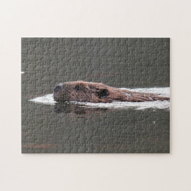 American Beaver Jigsaw Puzzle (Horizontal)