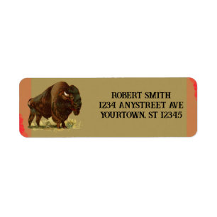 American Bison