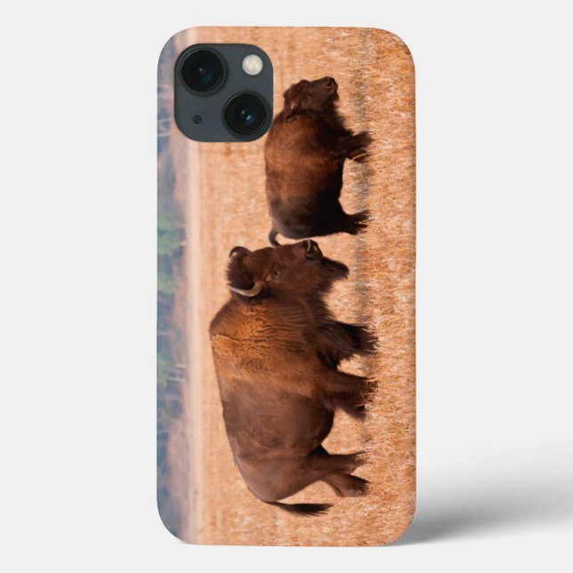 American Bison (Bison Bison) Cow And Calf Case-Mate iPhone Case (Back)