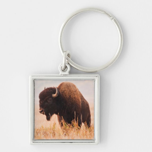 American Bison (Bison Bison) Herd In Teton 2 Key Ring (Front)