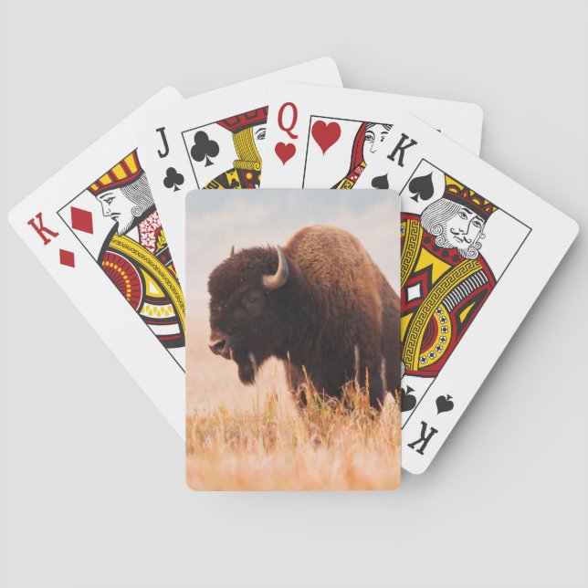 American Bison (Bison Bison) Herd In Teton 2 Playing Cards (Back)