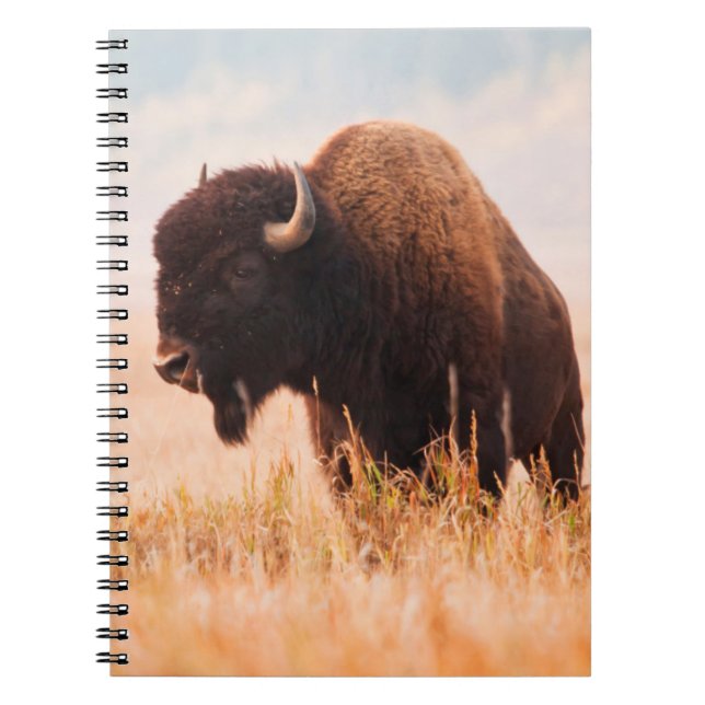 American Bison (Bison Bison) Herd In Teton 2 Spiral Notebook (Front)
