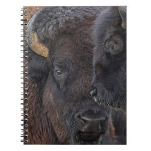 American Bison Bonded Pair Bull And Cow Notebook