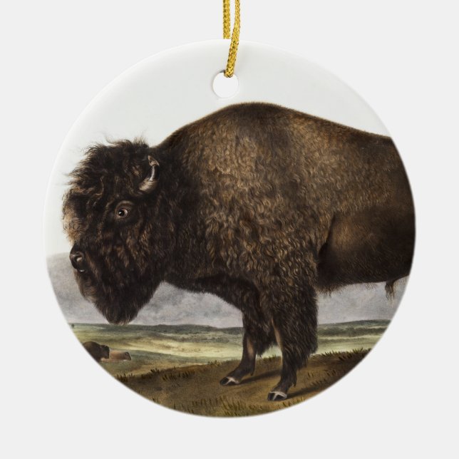 American Bison (Bos Americanus) Illustration Ceramic Tree Decoration (Front)