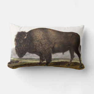 American Bison (Bos Americanus) Illustration Lumbar Cushion
